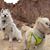 Marla J. Selvidge's profile image