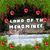 Ann Forstrom's profile image