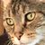 Nancy Rhindress's profile image