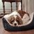 Lisa Andersen's profile image