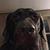 Bill Atkins's profile image