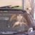 Cindy Herrmann's profile image
