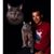 Greg Garth's profile image