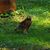 Evelyn Byars's profile image