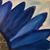 Michelle Barnstein Grossman's profile image