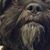 Nancy Orndorff's profile image