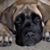Heidi Gustafson Anderson's profile image