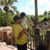 Steven Alves's profile image