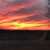 Lisa Shamberger-Linville's profile image
