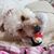 Golda Noble's profile image