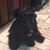 Brenda Decker's profile image