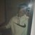 Noel Korb's profile image