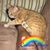 Robert Upshaw Jr.'s profile image