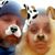 David Ritch's profile image