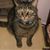Starr Dawn Lara's profile image