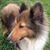 Patsy Popelas's profile image