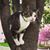 Molly McKenna Inglish's profile image