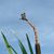 Deb Piepgras Eberts's profile image
