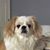 Joy McCombs Lowry's profile image