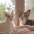 Nancy Lowrey's profile image