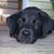 Mary W Powers's profile image