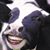 Jeff Kidd's profile image