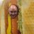 Todd Bellomy's profile image