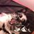 Louise Puttock's profile image