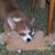 Karole Hile's profile image