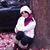 Sara Castillo's profile image