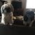 Amy Hartwig-Freehafer's profile image