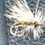 Maria Wilson's profile image