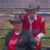 Sue Clemente's profile image