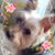 Jennine Rohrbaugh's profile image