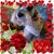 Michelle Freeman's profile image