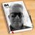 Robert Smrekar's profile image
