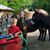 Jenny Raabe-Eastep's profile image