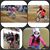 Rachel Lamance's profile image