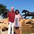 Sandra Storey's profile image