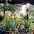 Patty Sweezy Sorensen's profile image