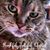 Maria Johnson's profile image
