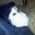 Erin Woolsey's profile image