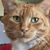 Donna Wendt's profile image