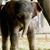 Theresa Mudge's profile image