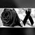 Cynthia Cruz's profile image