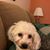 Jill Hershberger's profile image