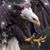 Elizabeth Buker Gruender's profile image