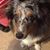 Gail Dipaola's profile image