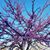Melanie McClammy's profile image