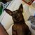 Tricia Hodapp's profile image
